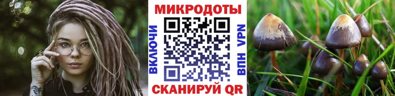 Галлюциногенные грибы Psilocybe  цены наркотик  Рошаль 