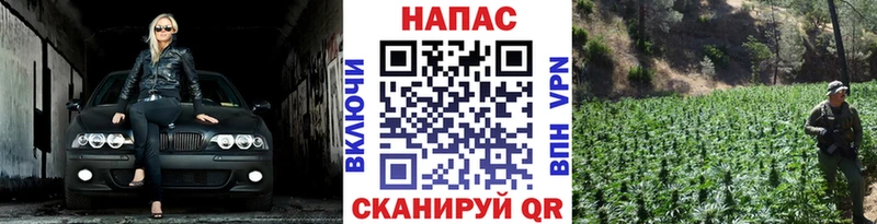 Канабис OG Kush Рошаль